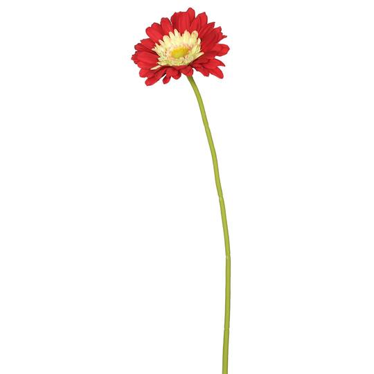 Red Gerbera Daisy Stem, 6ct.